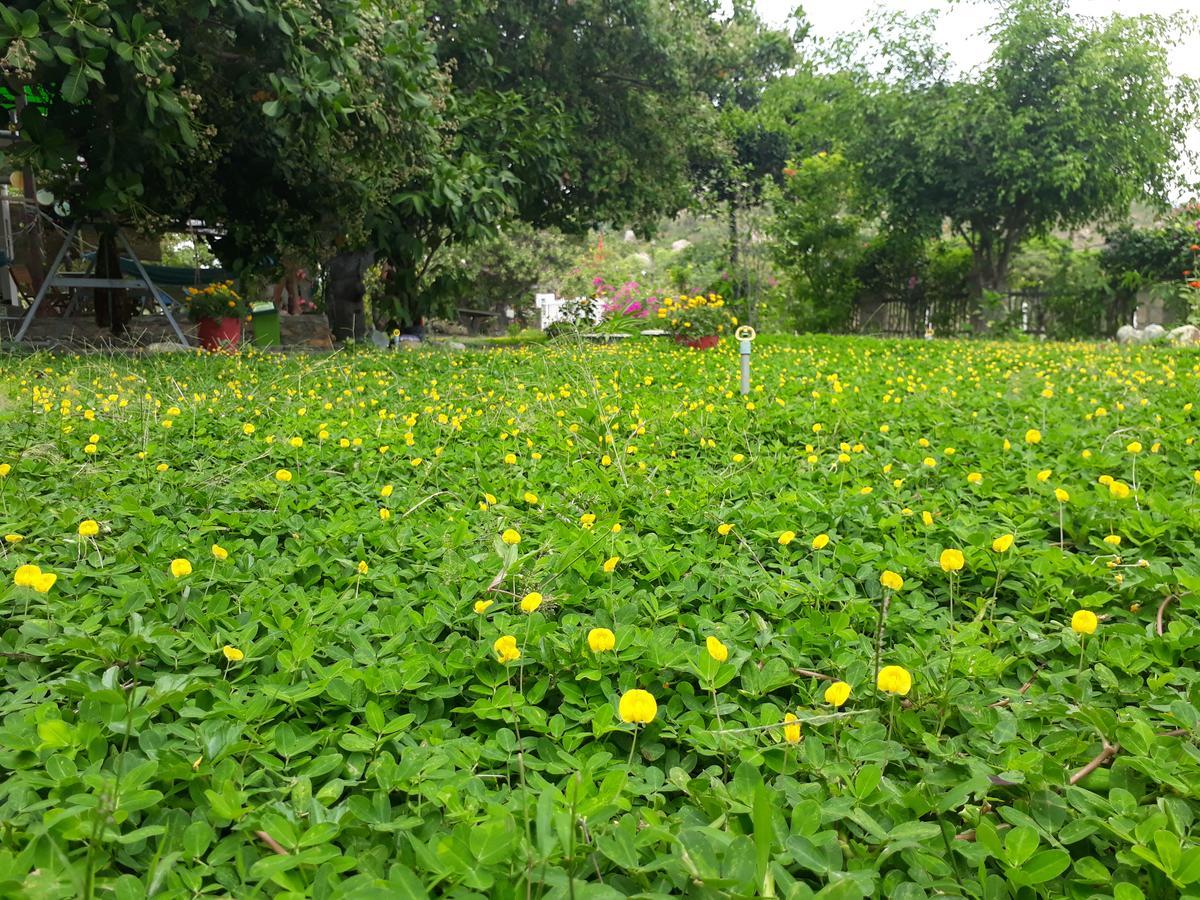 Dao Hoa Vang Villa Cam Ranh Extérieur photo