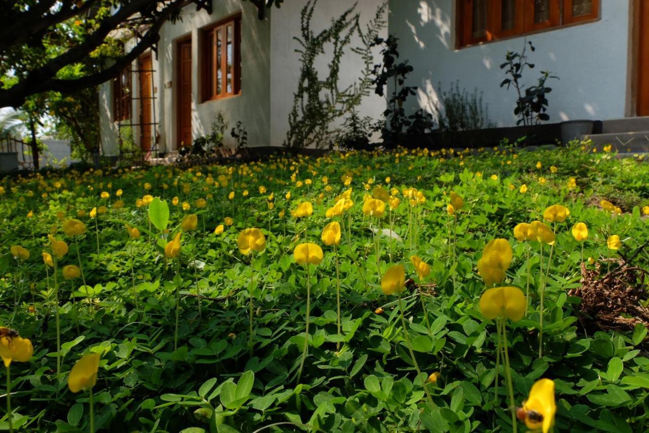 Dao Hoa Vang Villa Cam Ranh Extérieur photo