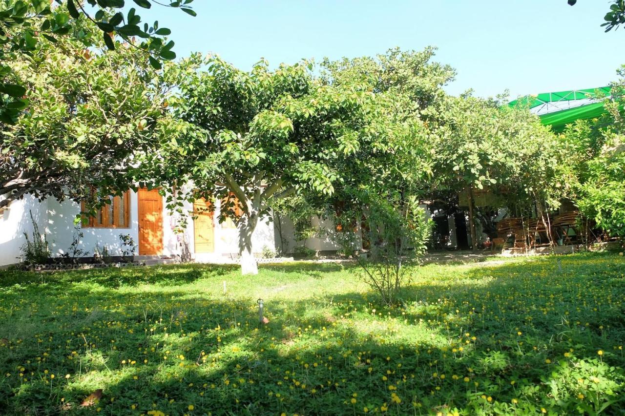 Dao Hoa Vang Villa Cam Ranh Extérieur photo
